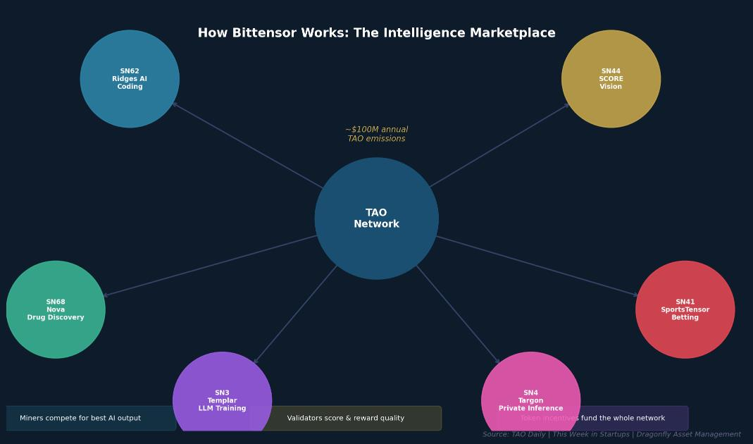 Diagram titled 'How Bittensor Works: The Intelligence Marketplace' showing the central TAO Network node connected to six subnets: SN62 Ridges AI Coding, SN44 SCORE Vision, SN41 SportsTensor Betting, SN4 Targon Private Inference, SN3 Templar LLM Training, and SN68 Nova Drug Discovery. ~$100M annual TAO emissions. Miners compete for best AI output; Validators score & reward quality; Token incentives fund the whole network.